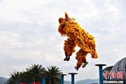 六爻解读（文化中国行）壮乡狮舞闯南洋：脚踏“云桩” 饮誉海内外